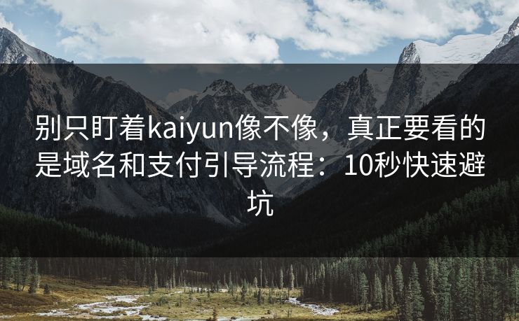 别只盯着kaiyun像不像，真正要看的是域名和支付引导流程：10秒快速避坑