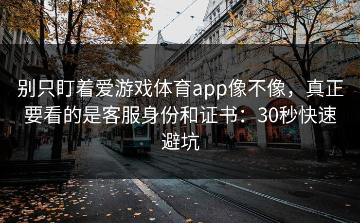 别只盯着爱游戏体育app像不像，真正要看的是客服身份和证书：30秒快速避坑