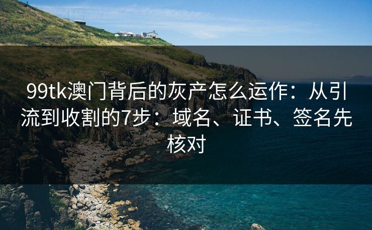 99tk澳门背后的灰产怎么运作：从引流到收割的7步：域名、证书、签名先核对